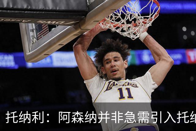 托纳利：阿森纳并非急需引入托纳利，不应花1亿英镑买他